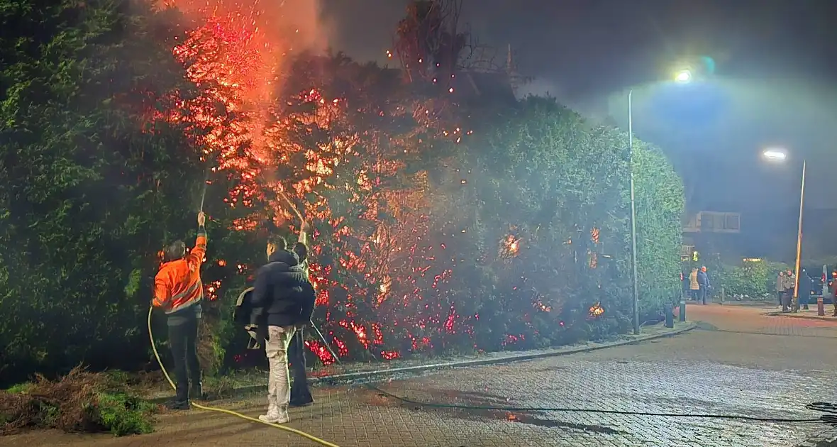 Brandende coniferen haag met tuinslangen geblust - Foto 2