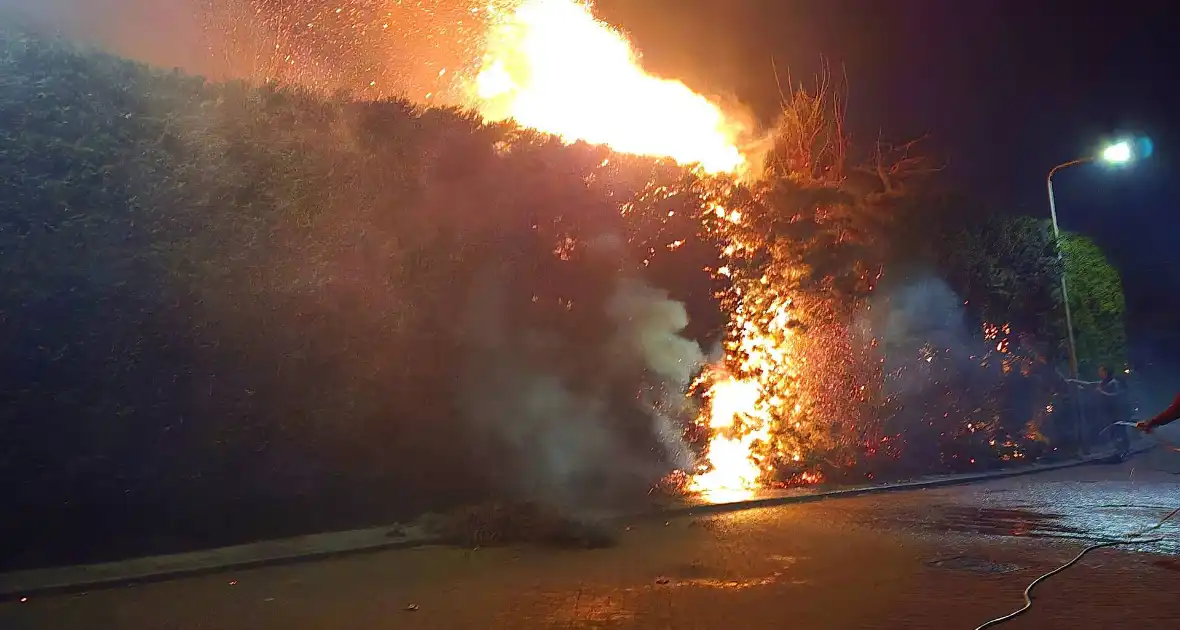 Brandende coniferen haag met tuinslangen geblust - Foto 3