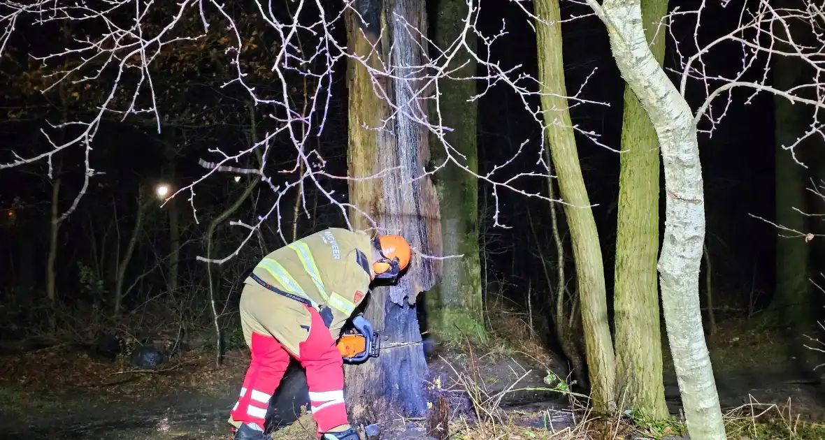 Brandweer zaagt brandende, dode boom om