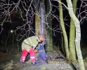 Brandweer zaagt brandende, dode boom om