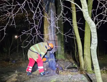 Brandweer zaagt brandende, dode boom om