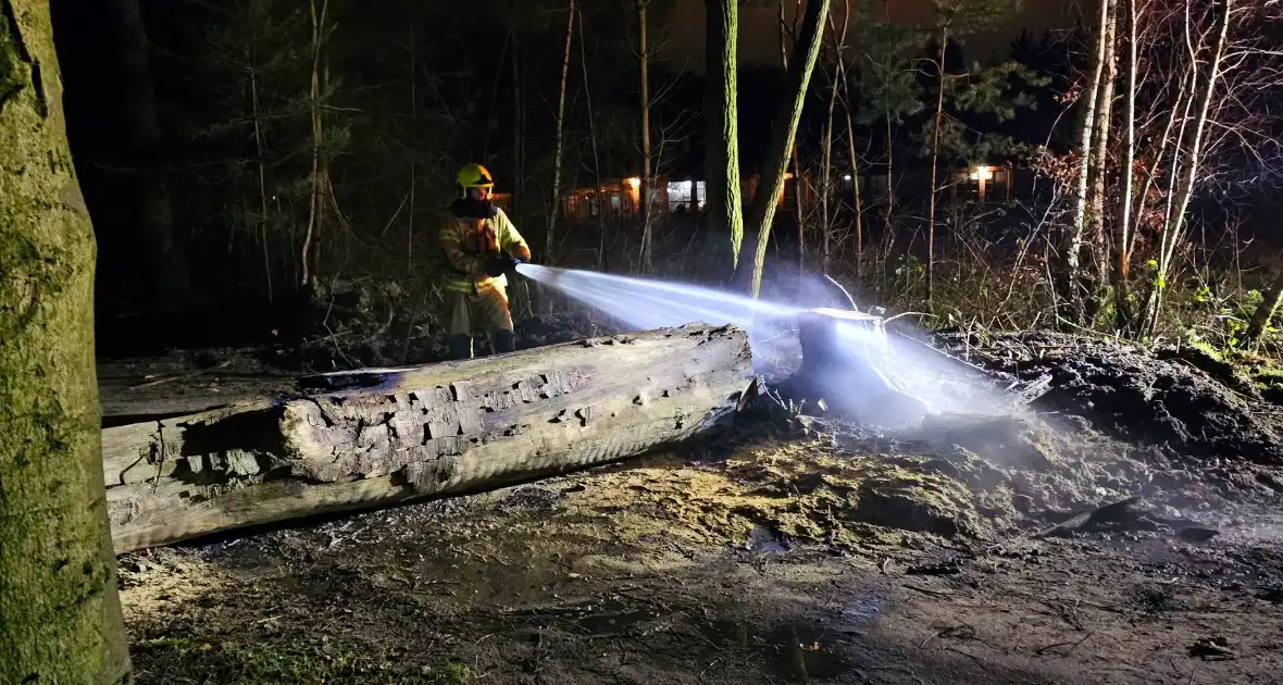 Brandweer zaagt brandende, dode boom om - Foto 1