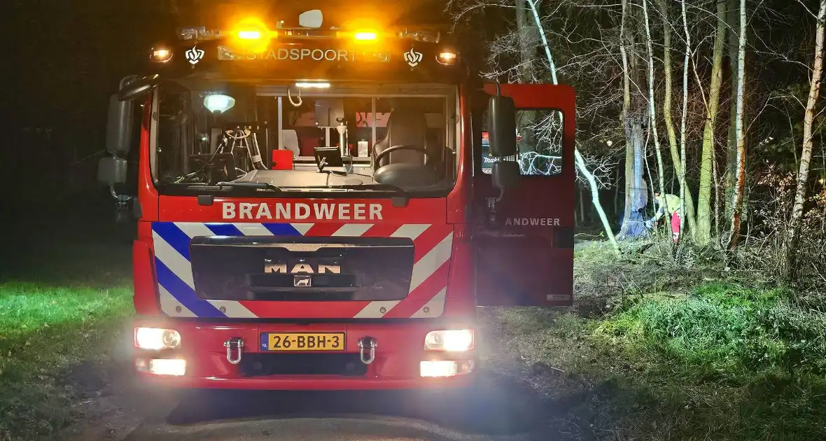 Brandweer zaagt brandende, dode boom om - Foto 2