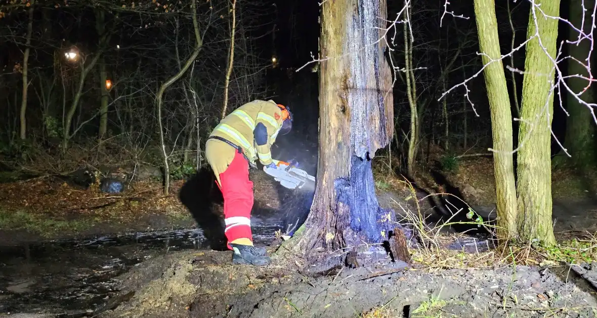 Brandweer zaagt brandende, dode boom om - Foto 3