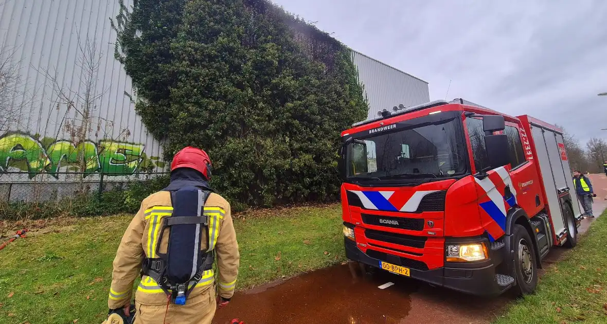 Begroeiing tegen pand in brand - Foto 3