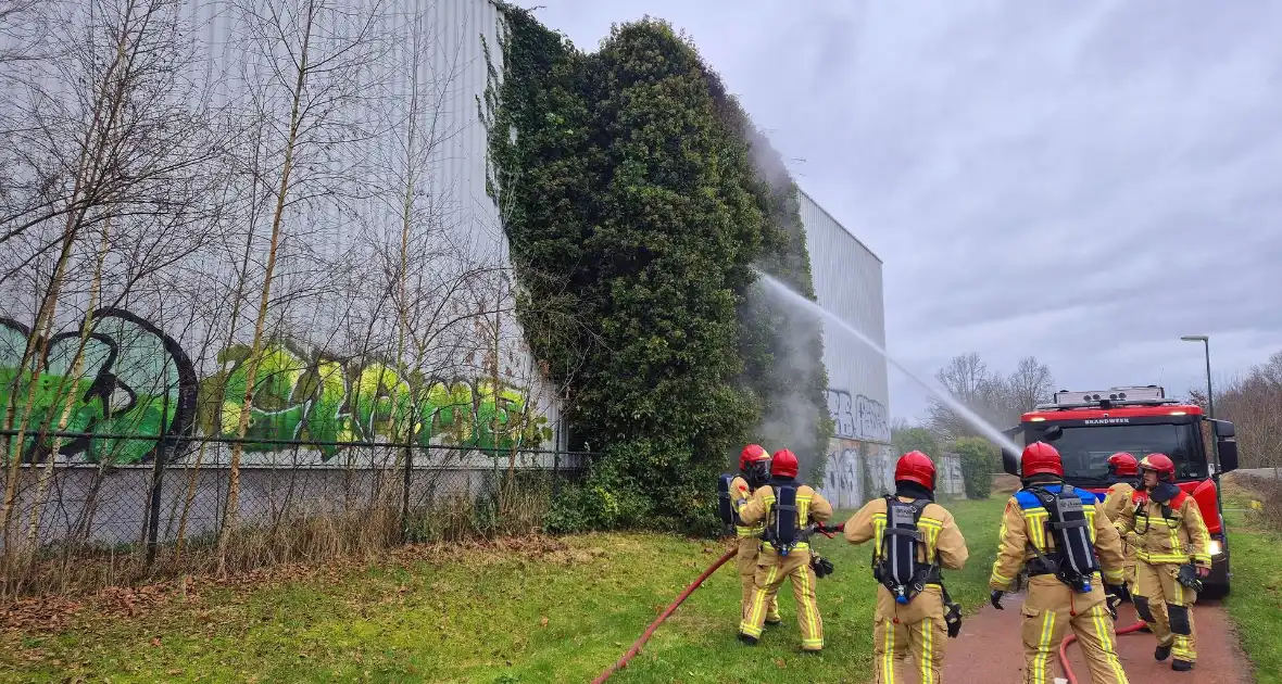 Begroeiing tegen pand in brand - Foto 6