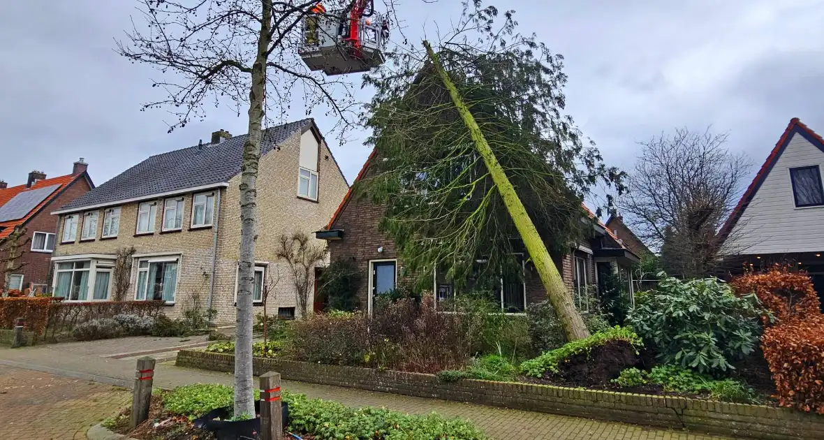 Boom valt tegen woning door harde wind