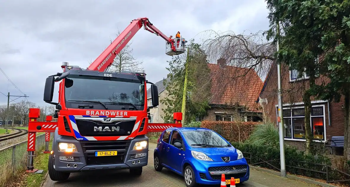 Boom valt tegen woning door harde wind - Foto 1