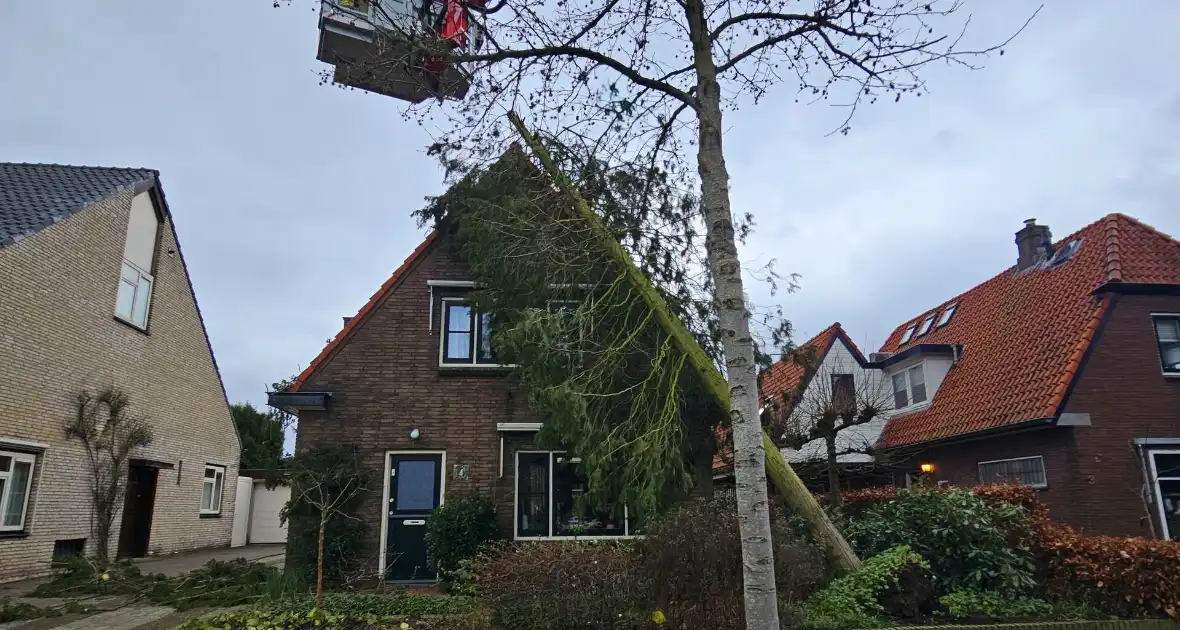 Boom valt tegen woning door harde wind - Foto 2