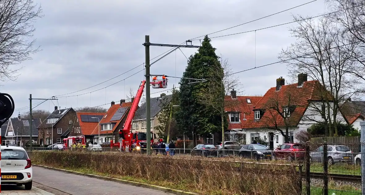 Boom valt tegen woning door harde wind - Foto 3