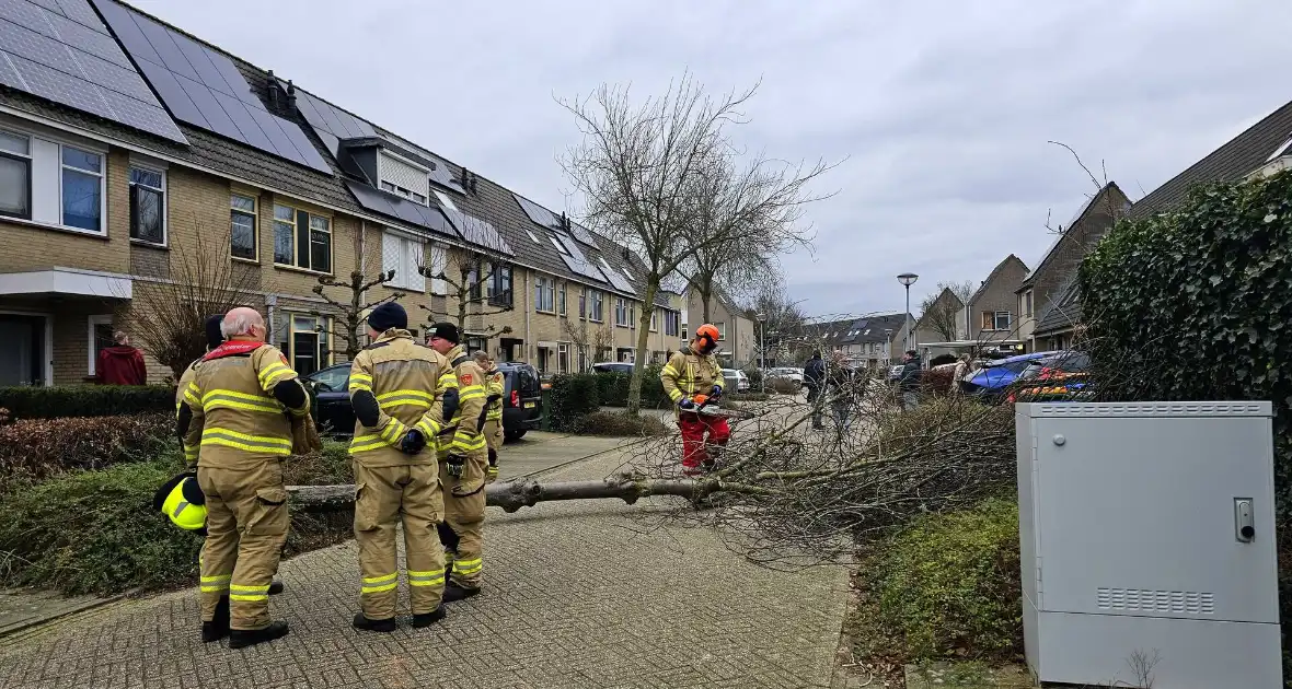 Doorgang woonwijk geblokkeerd door omgewaaide boom