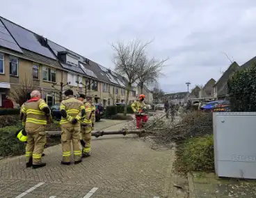 Doorgang woonwijk geblokkeerd door omgewaaide boom