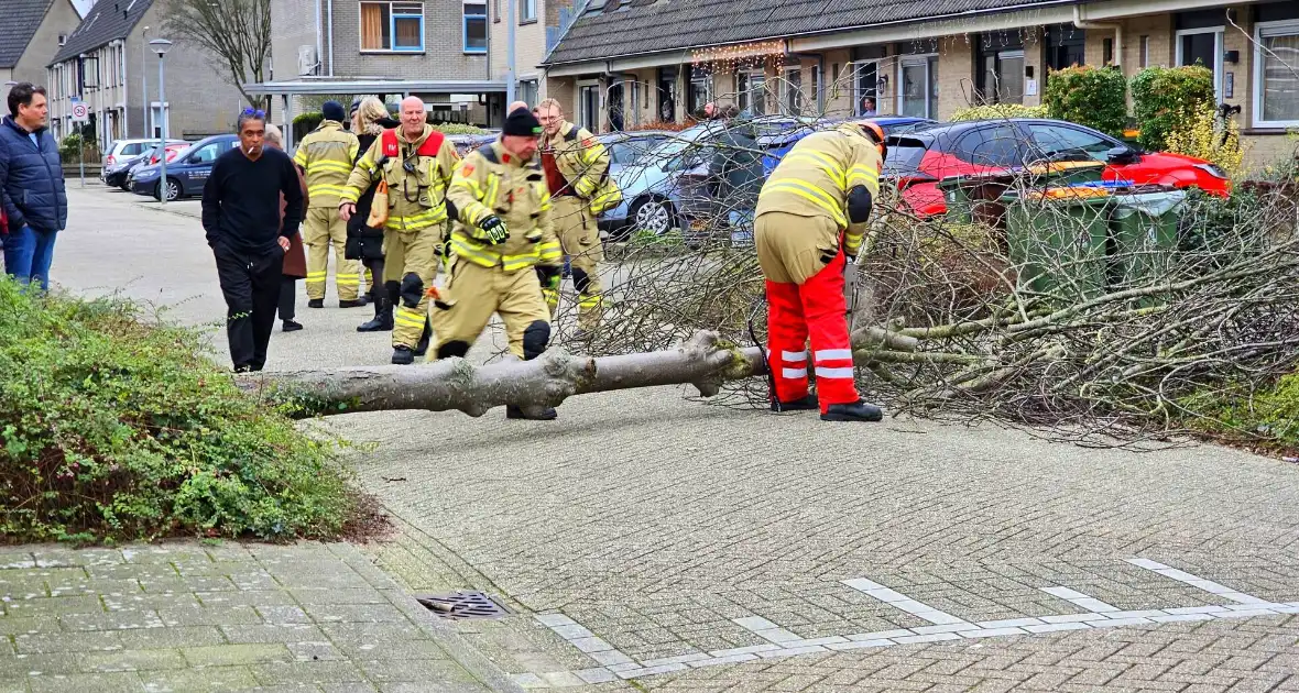 Doorgang woonwijk geblokkeerd door omgewaaide boom - Foto 2