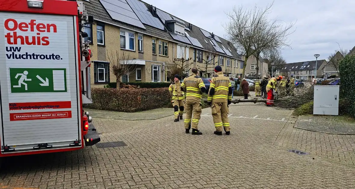 Doorgang woonwijk geblokkeerd door omgewaaide boom - Foto 4