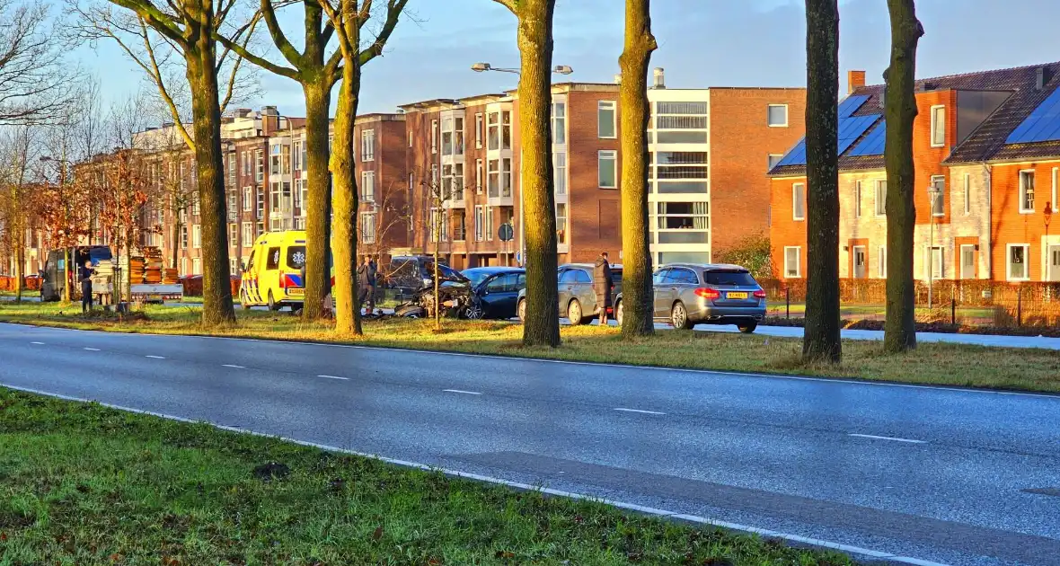 Auto loopt forse schade op na botsing met boom - Foto 1