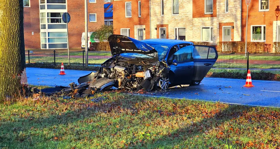 Auto loopt forse schade op na botsing met boom - Foto 2