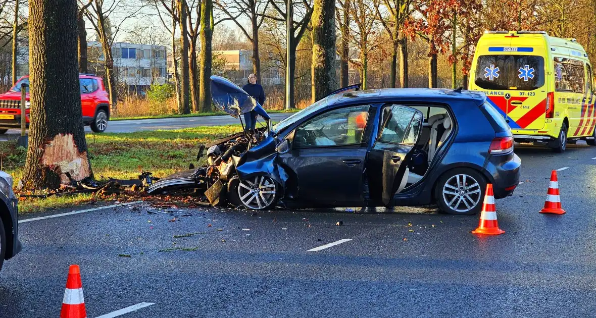 Auto loopt forse schade op na botsing met boom - Foto 4