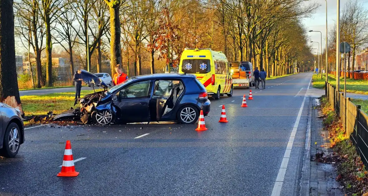 Auto loopt forse schade op na botsing met boom - Foto 5