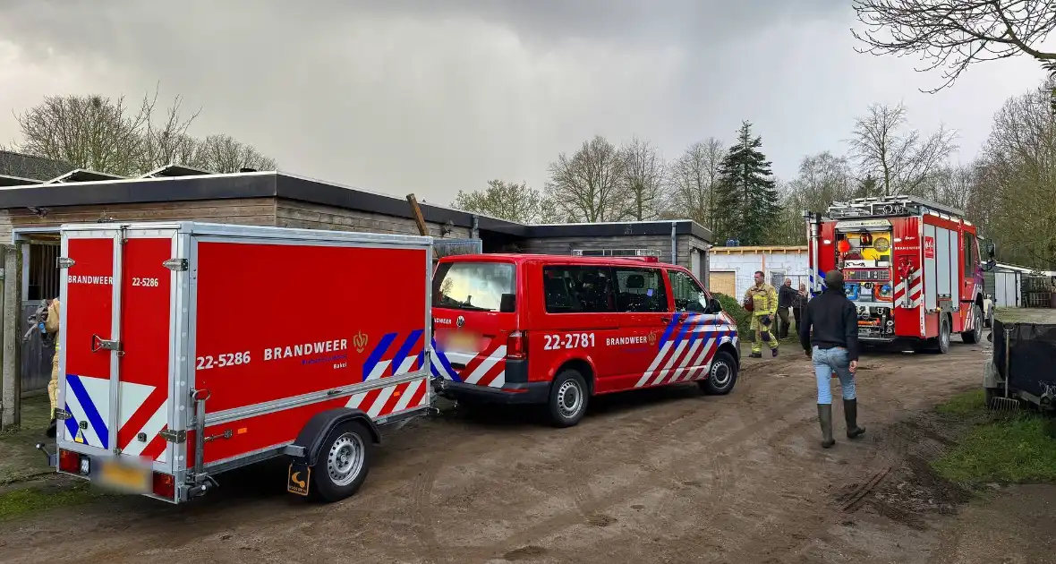 Brandweer schiet te hulp bij gestrande viervoeter