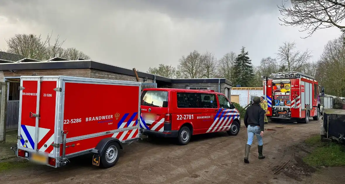 Brandweer schiet te hulp bij gestrande viervoeter - Foto 3