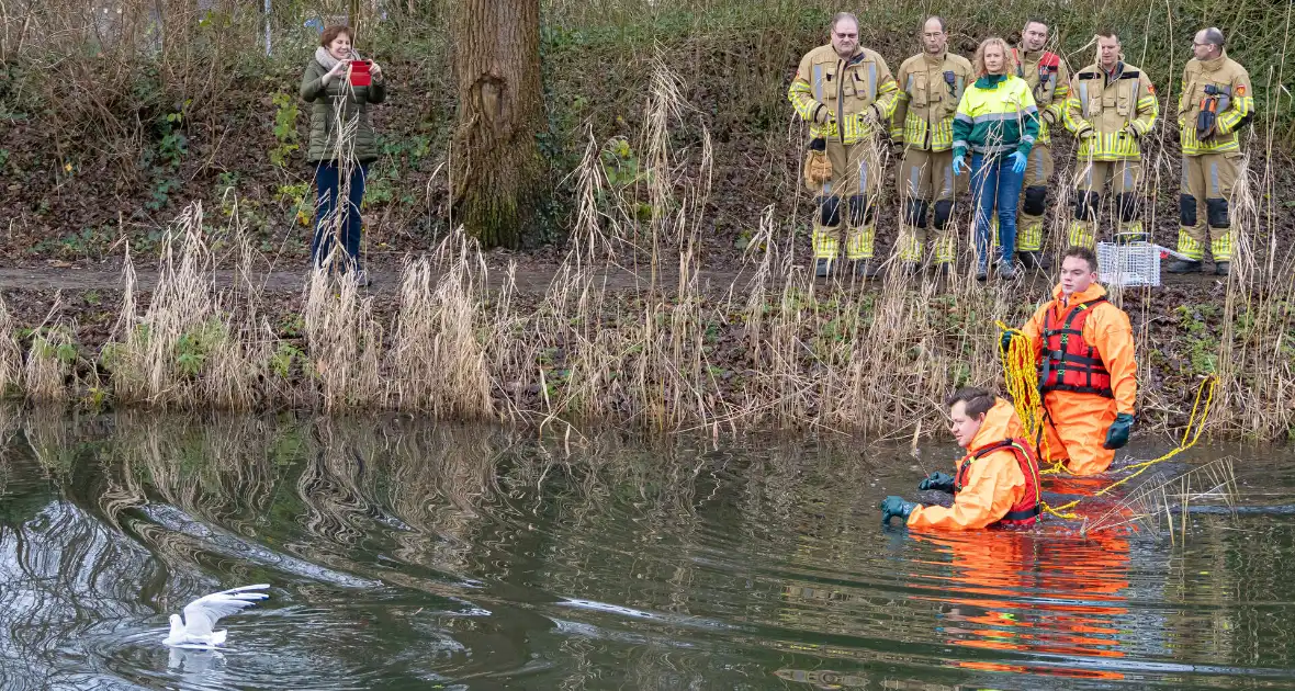 Brandweer bevrijdt vastzittende meeuw