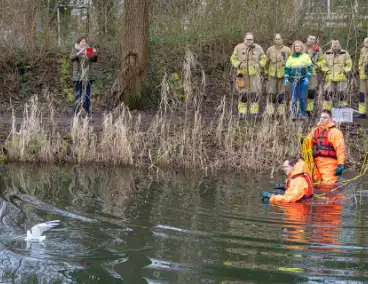 Brandweer bevrijdt vastzittende meeuw