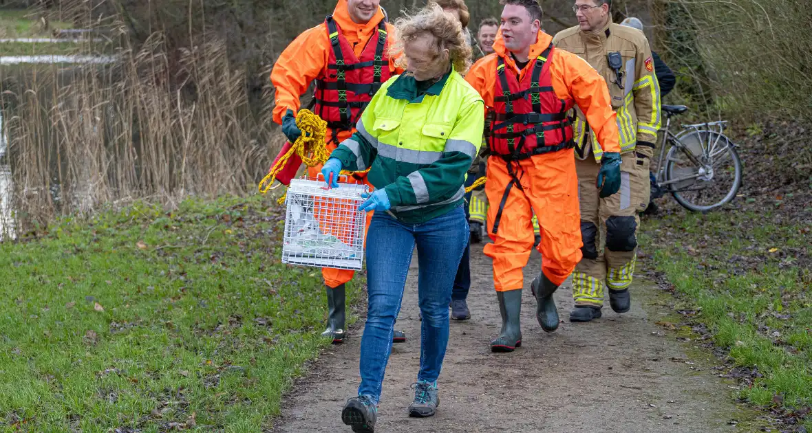 Brandweer bevrijdt vastzittende meeuw - Foto 11