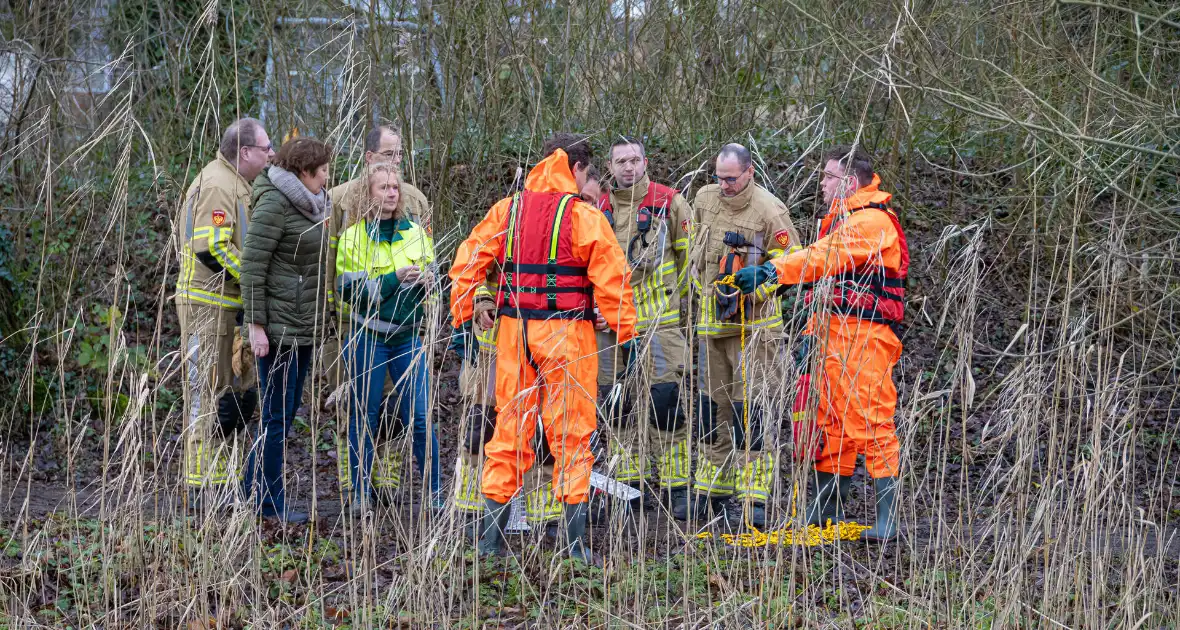 Brandweer bevrijdt vastzittende meeuw - Foto 3