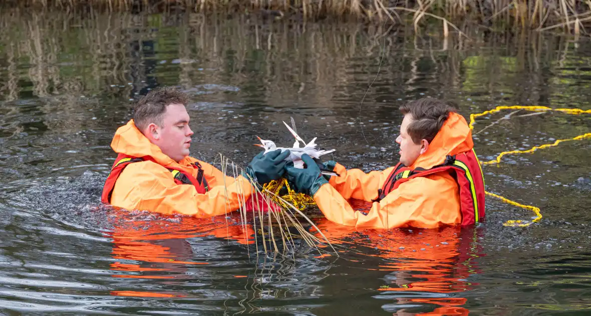 Brandweer bevrijdt vastzittende meeuw - Foto 7