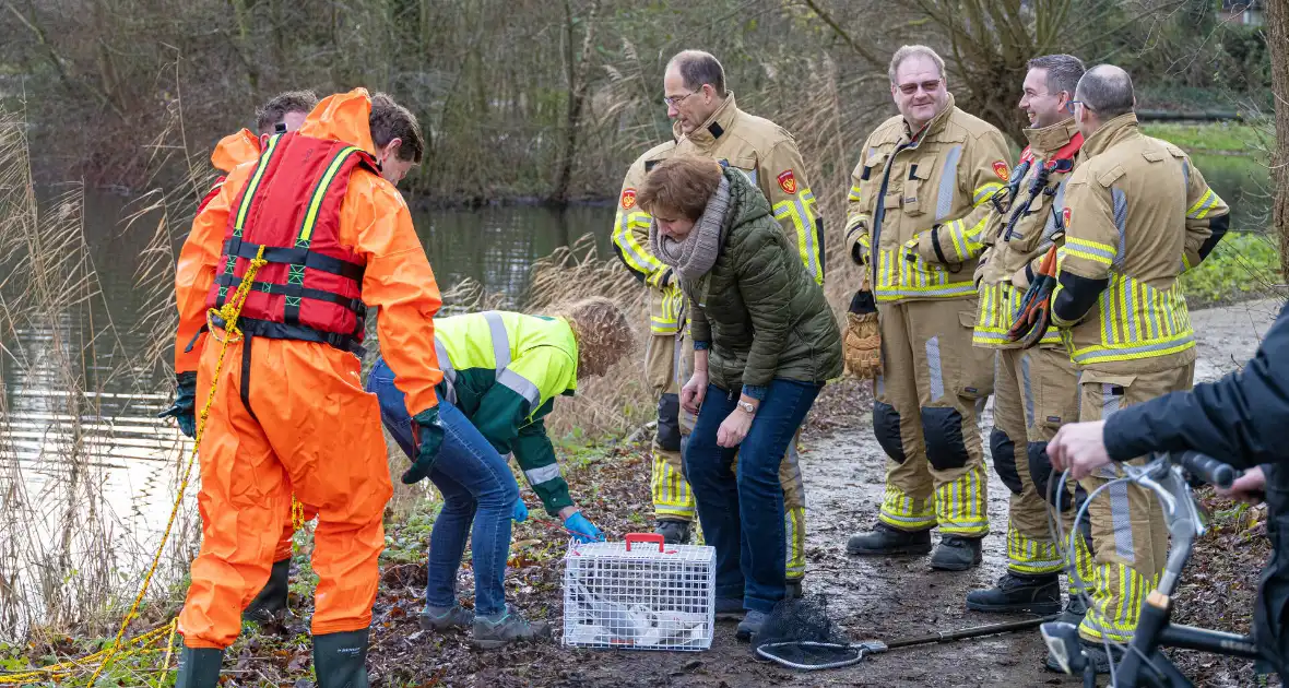 Brandweer bevrijdt vastzittende meeuw - Foto 8