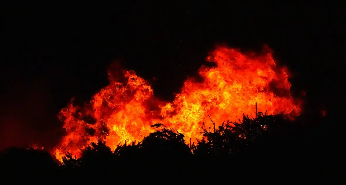 Kerstboom verbranding door brandweer - Foto 1