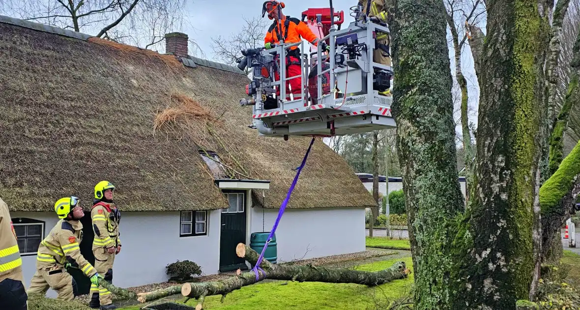 Boom tegen monumentale boerderij