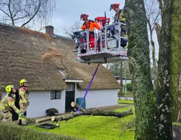 Boom tegen monumentale boerderij