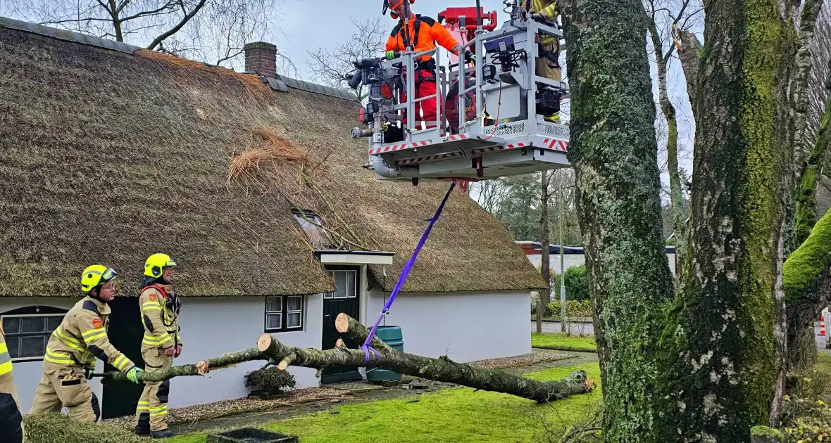 Boom tegen monumentale boerderij - Foto 1