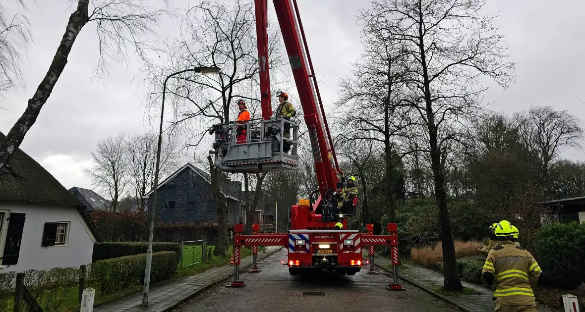 Boom tegen monumentale boerderij - Foto 10