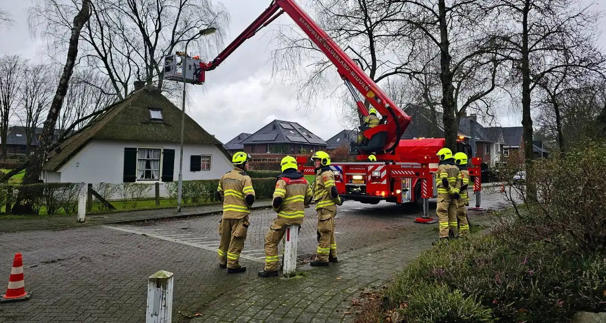 Boom tegen monumentale boerderij - Foto 11