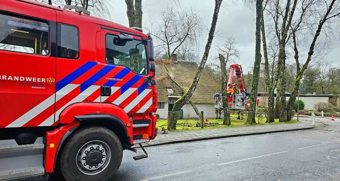 Boom tegen monumentale boerderij - Foto 2