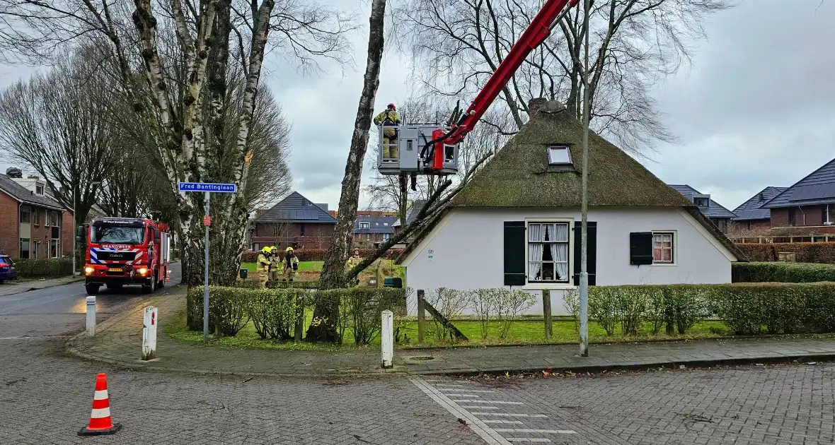 Boom tegen monumentale boerderij - Foto 3