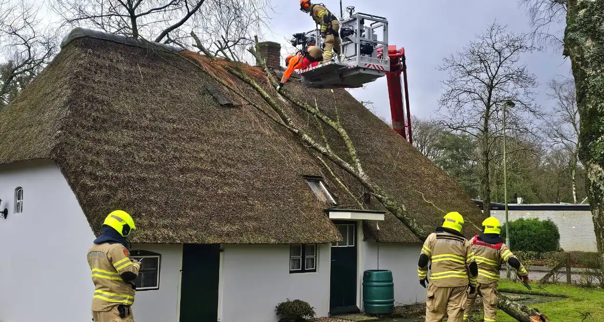 Boom tegen monumentale boerderij - Foto 5