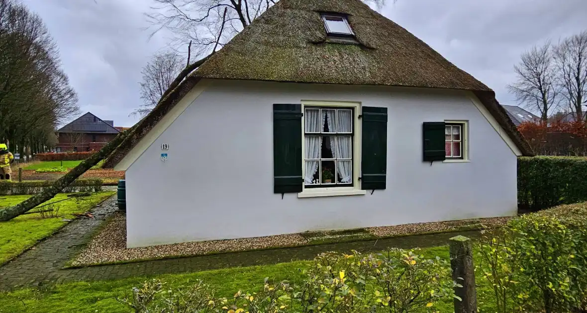 Boom tegen monumentale boerderij - Foto 6