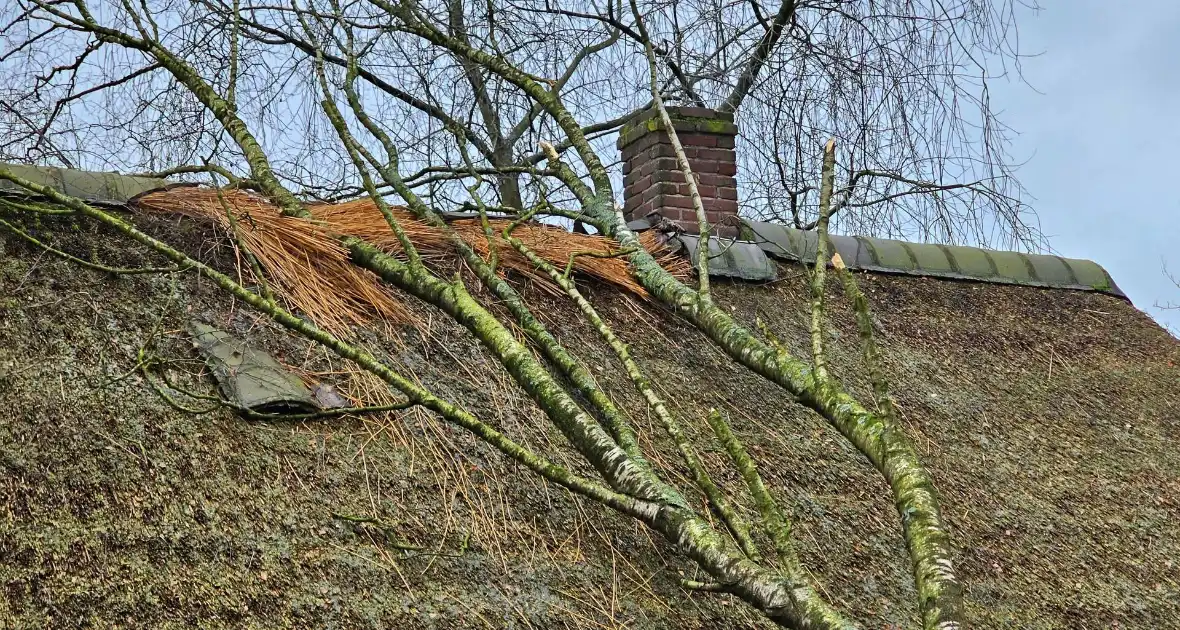 Boom tegen monumentale boerderij - Foto 7