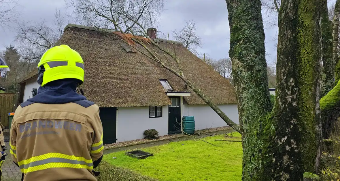 Boom tegen monumentale boerderij - Foto 9