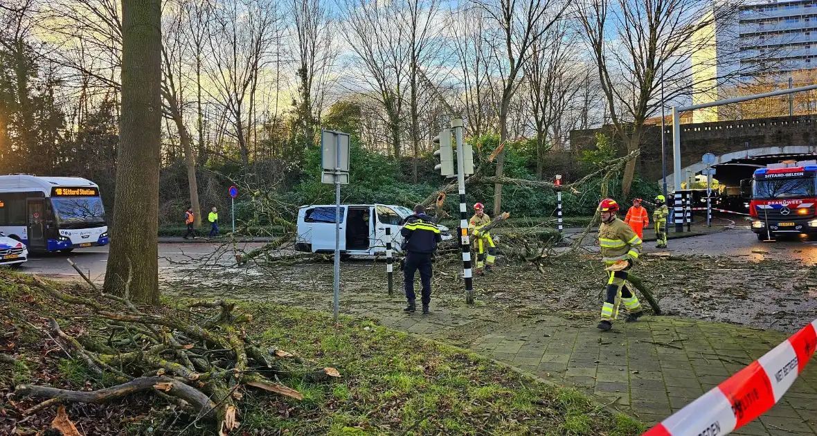 Omgevallen boom beschadigt bestelbus, weg tijdelijk afgesloten