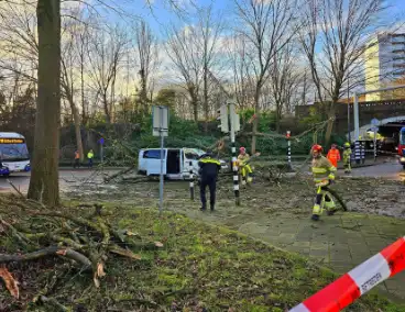 Omgevallen boom beschadigt bestelbus, weg tijdelijk afgesloten