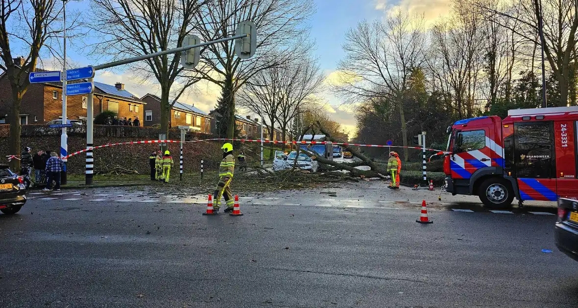 Omgevallen boom beschadigt bestelbus, weg tijdelijk afgesloten - Foto 1