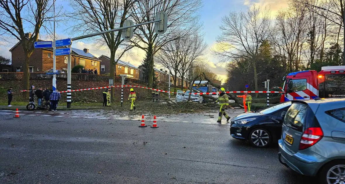 Omgevallen boom beschadigt bestelbus, weg tijdelijk afgesloten - Foto 2