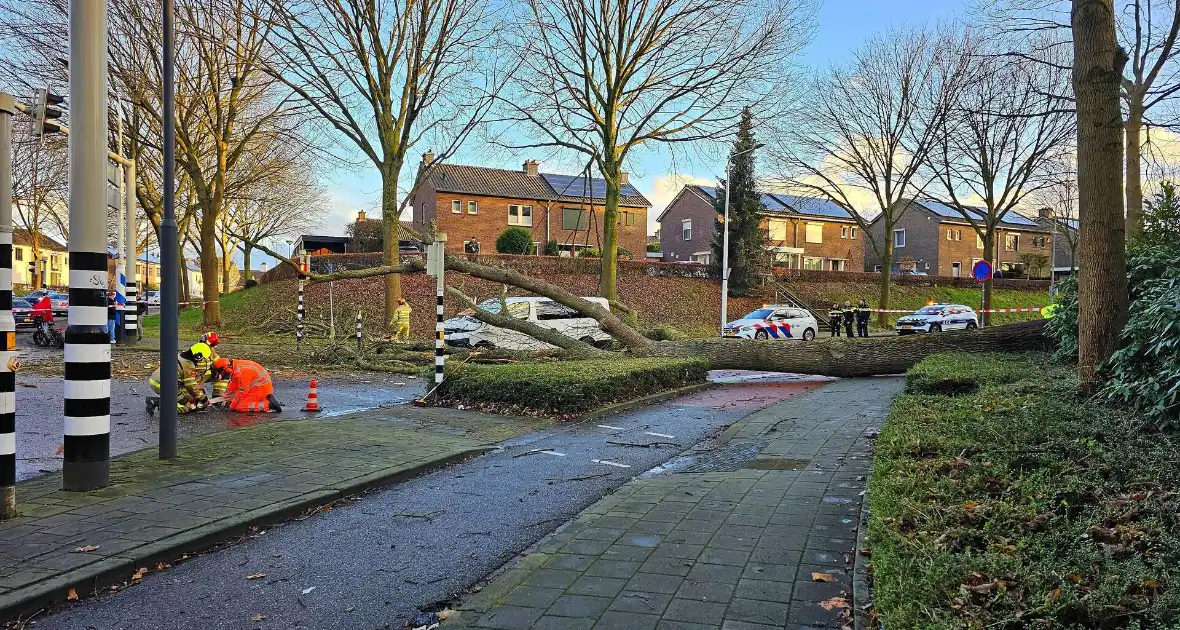 Omgevallen boom beschadigt bestelbus, weg tijdelijk afgesloten - Foto 3