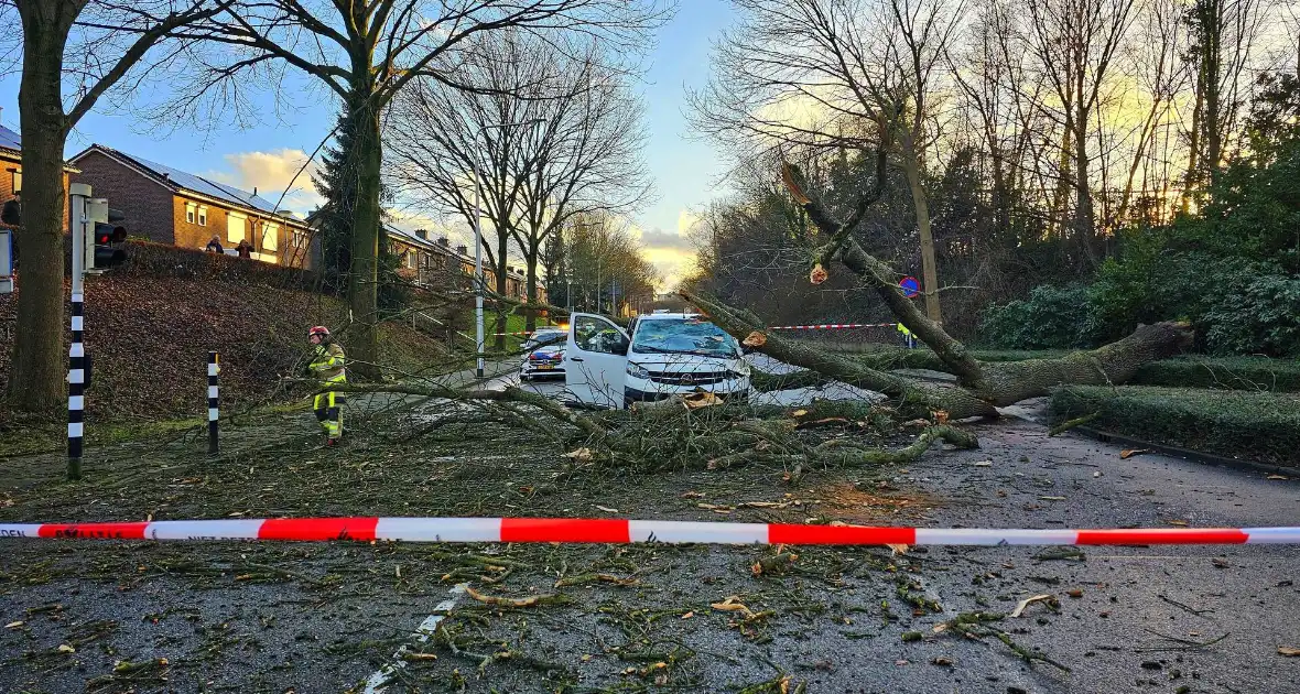 Omgevallen boom beschadigt bestelbus, weg tijdelijk afgesloten - Foto 4