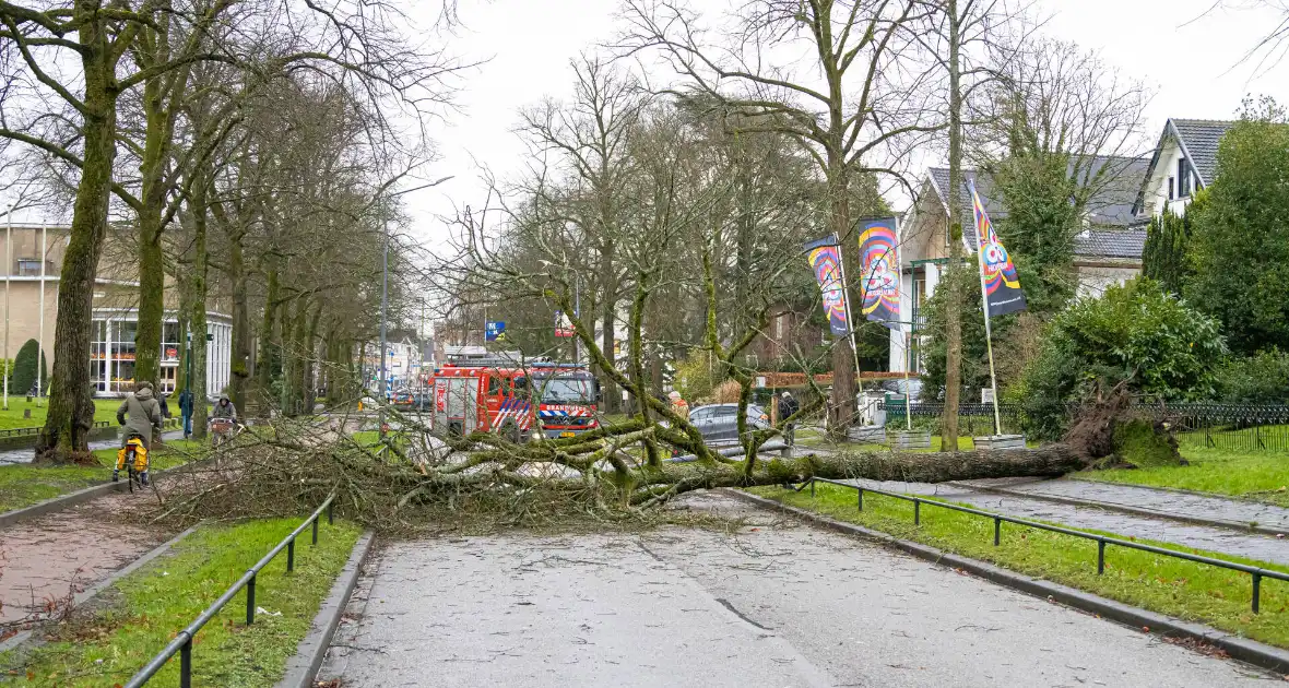 Lantaarnpaal geknakt door omgewaaide boom