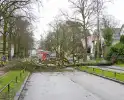 Lantaarnpaal geknakt door omgewaaide boom